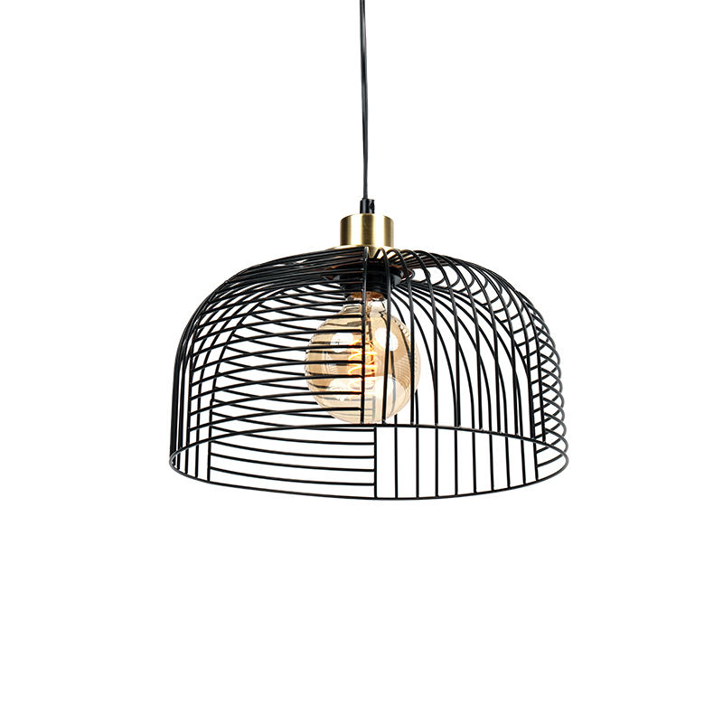 Lustre qui fuit la lumière de la cage à oiseaux